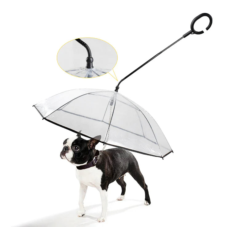 Parapluie pour chien avec laisse intégrée