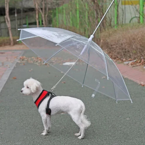 Parapluie pour chien avec laisse intégrée